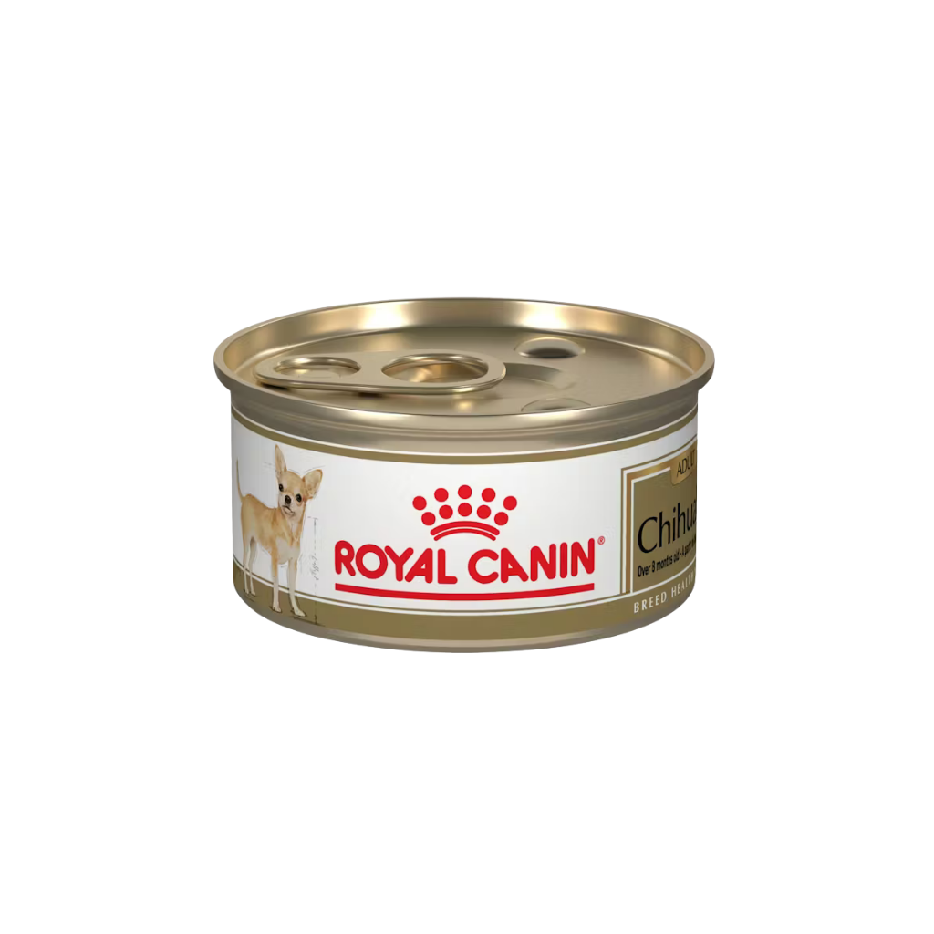 ROYAL CANIN CHIHUAHUA LATA