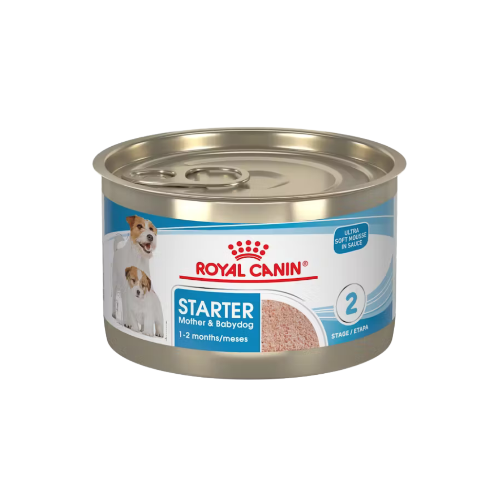 ROYAL CANIN STARTER MOTHER AND BABY