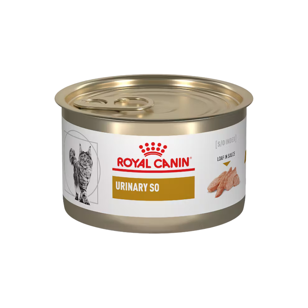 ROYAL CANIN URINARY FELINE LATA